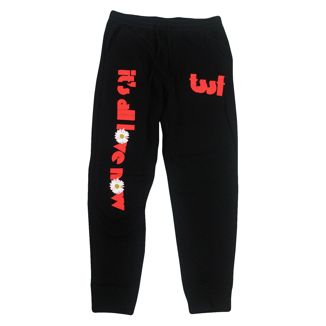 The Story So Far black sweatpants feature a soft cotton/poly blend, bold red its all new text with two daisy graphics on the left leg, and red tw! letters on the right thigh for a relaxed, standout look.