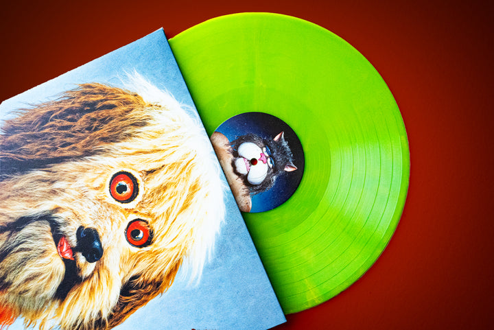 A bright green limited edition Four Year Strong vinyl partially out of its sleeve, featuring an illustrated dog with wide orange eyes, and a record label showing a cat’s face against a reddish background.