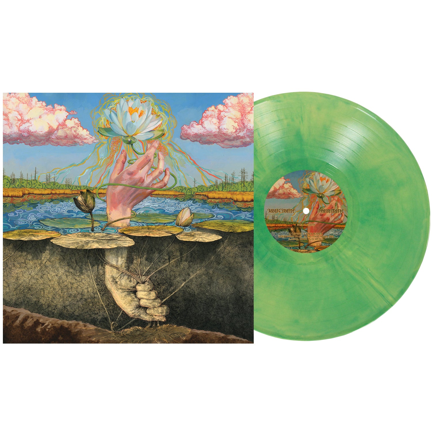 Music – Pure Noise Records