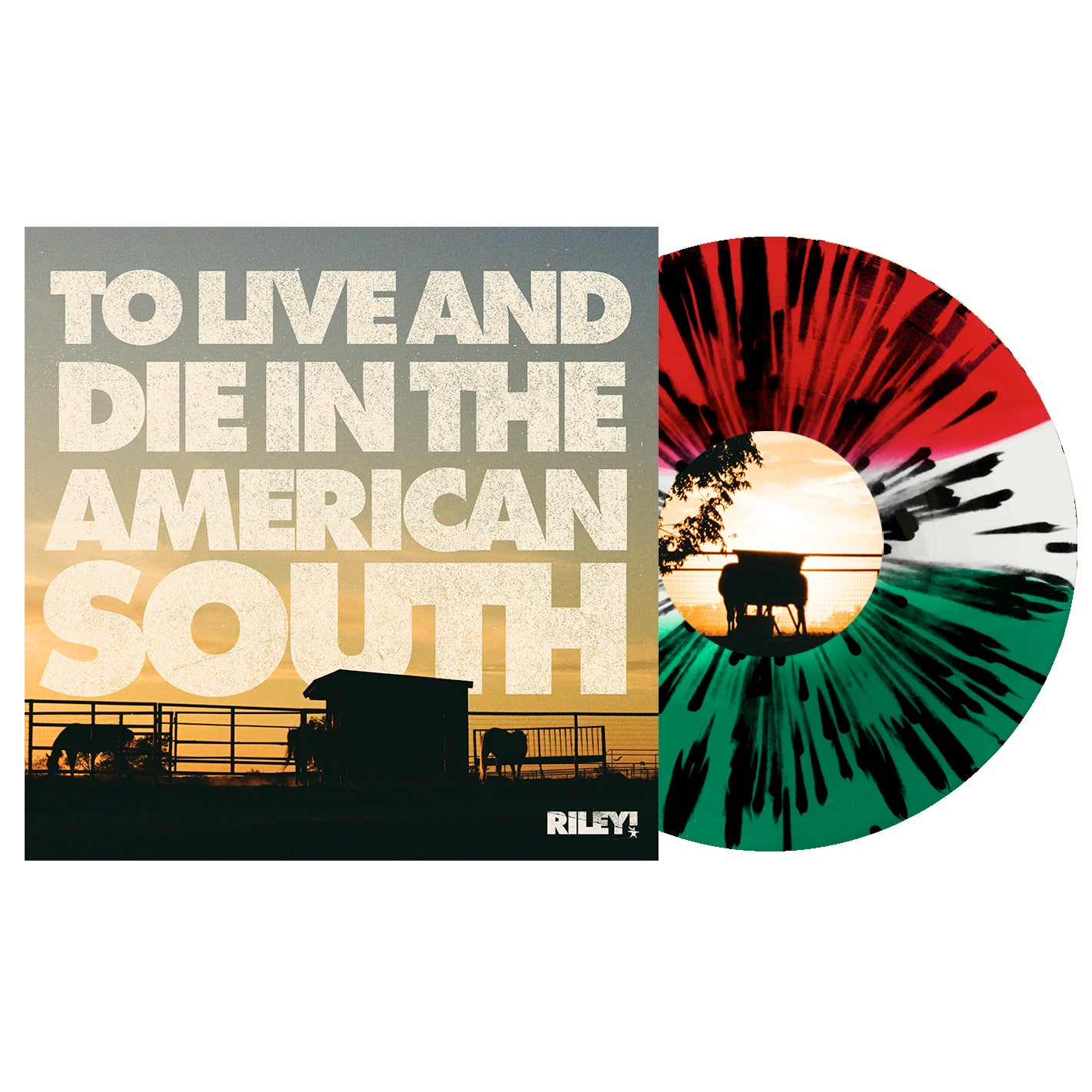 Music – Pure Noise Records