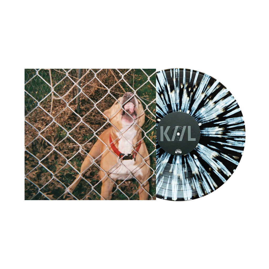 Pop Culture - Black Ice W/ White Splatter LP – Pure Noise Records