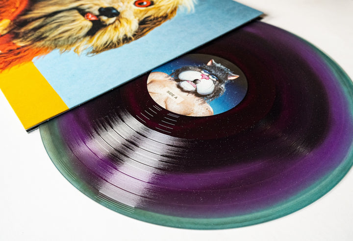 analysis paralysis - Glitter Black Ice, Blue & Purple Aside/Bside LP