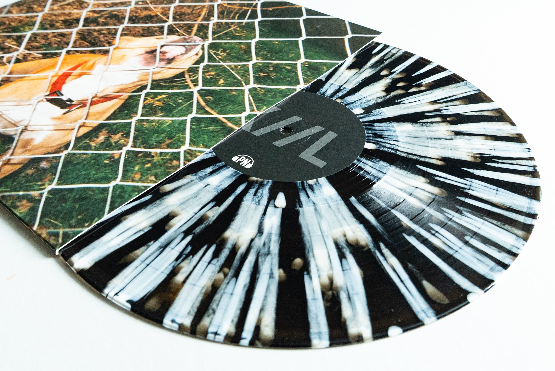 Pop Culture - Black Ice W/ White Splatter LP – Pure Noise Records