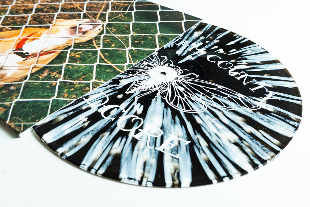 A limited edition Knocked Loose CD with a black and white moth and RAW COUNTY / DOORE text is partially pulled from a sleeve showing a dog behind a chain-link fence on green grass.
