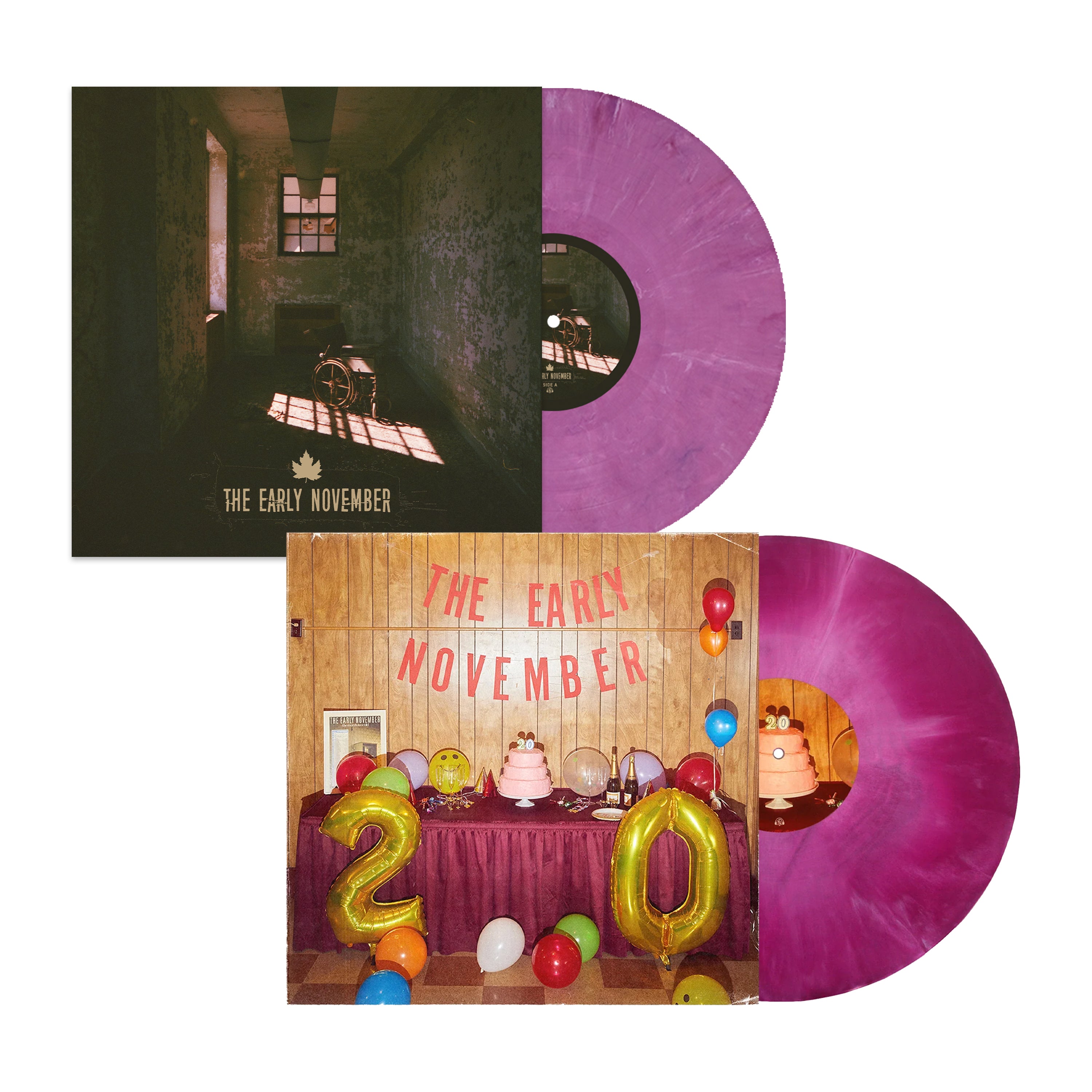 Vinyl newest Album Bundle