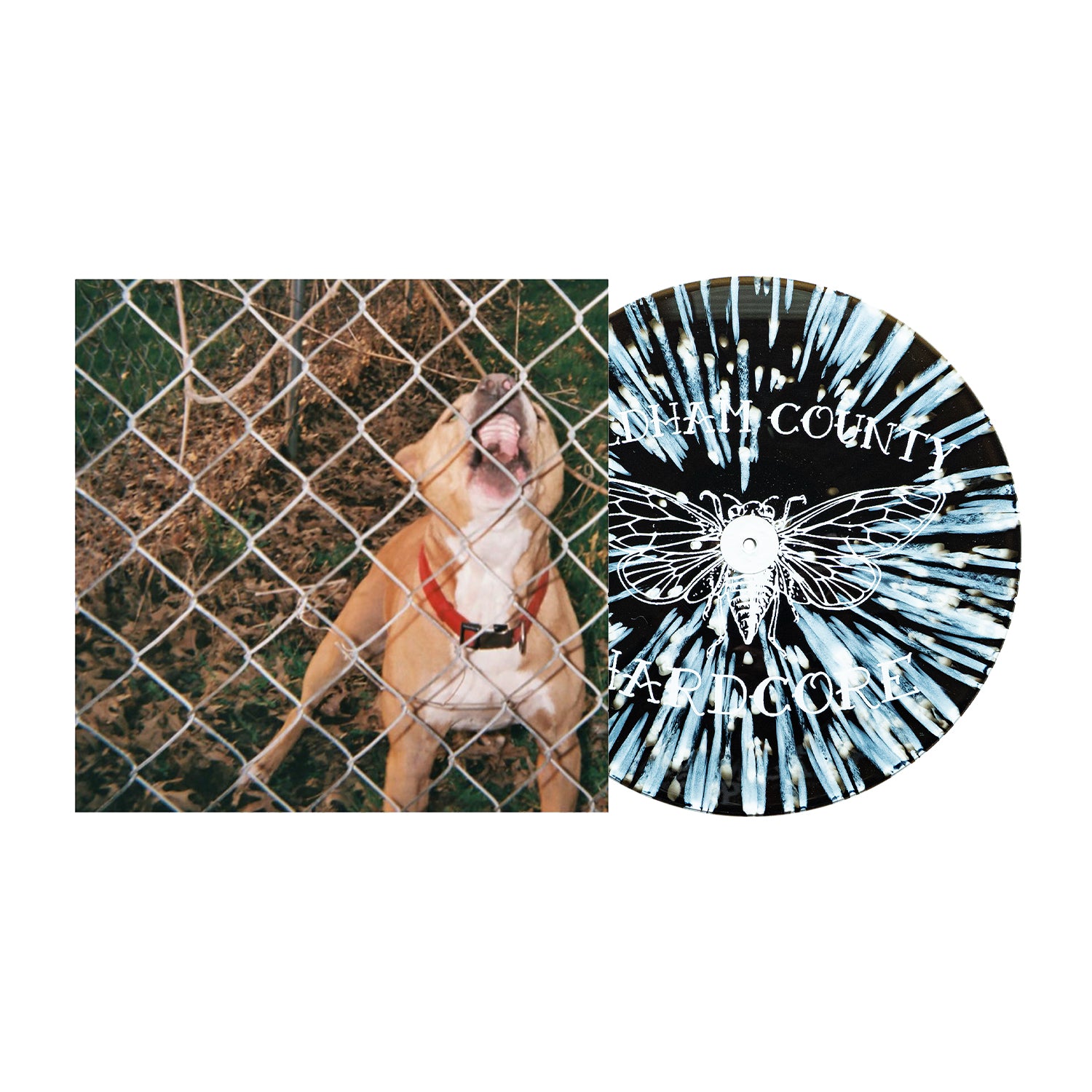 Pop Culture - Black Ice W/ White Splatter LP – Pure Noise Records