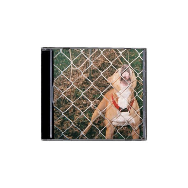 洋楽 Various / Like Someone I Know Various Artists - Like Someone I Know: A Celebration of