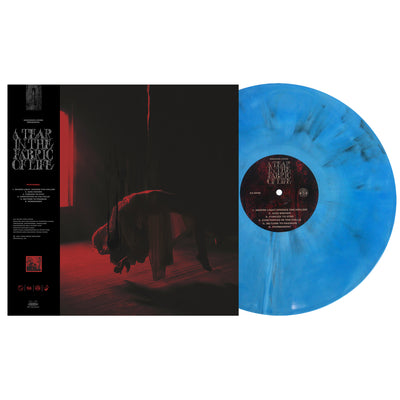 My newest pickup-Mistakes Like Fractures-Knocked Loose : r/vinyl