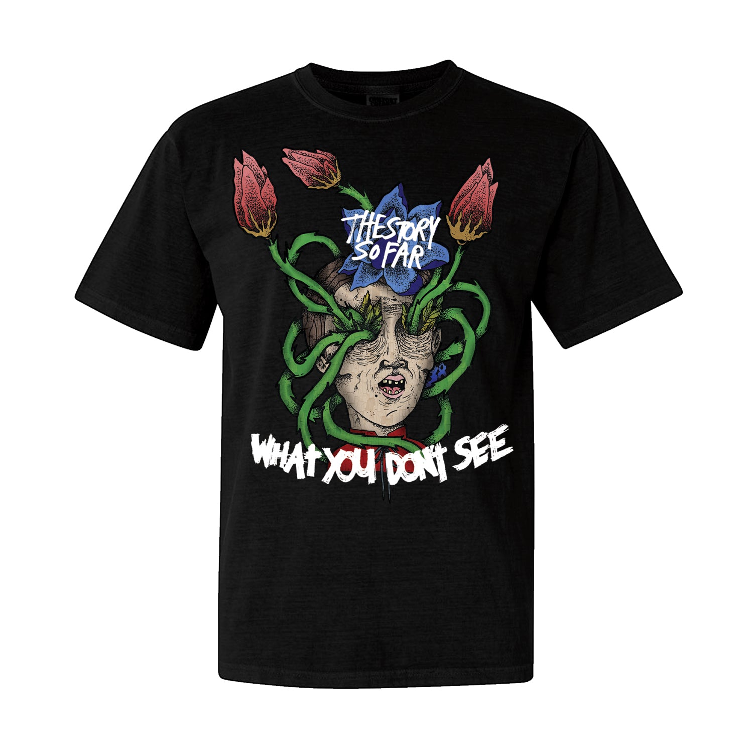 What You Don't See Black - Tee – Pure Noise Records