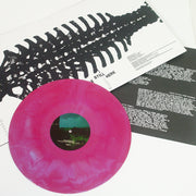 Image of vinyl lp with vinyl exposed to show vinyl color. album is a gate fold that is white with black rib like design.. Vinyl color is Magenta and baby blue galaxy. 